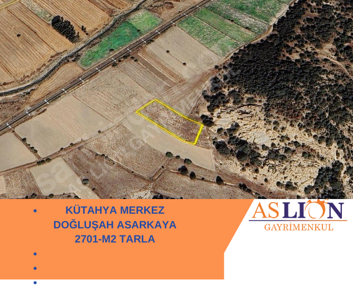 KÜTAHYA MERKEZ DOĞLUŞAH ASARKAYA 2701-M2 TARLA